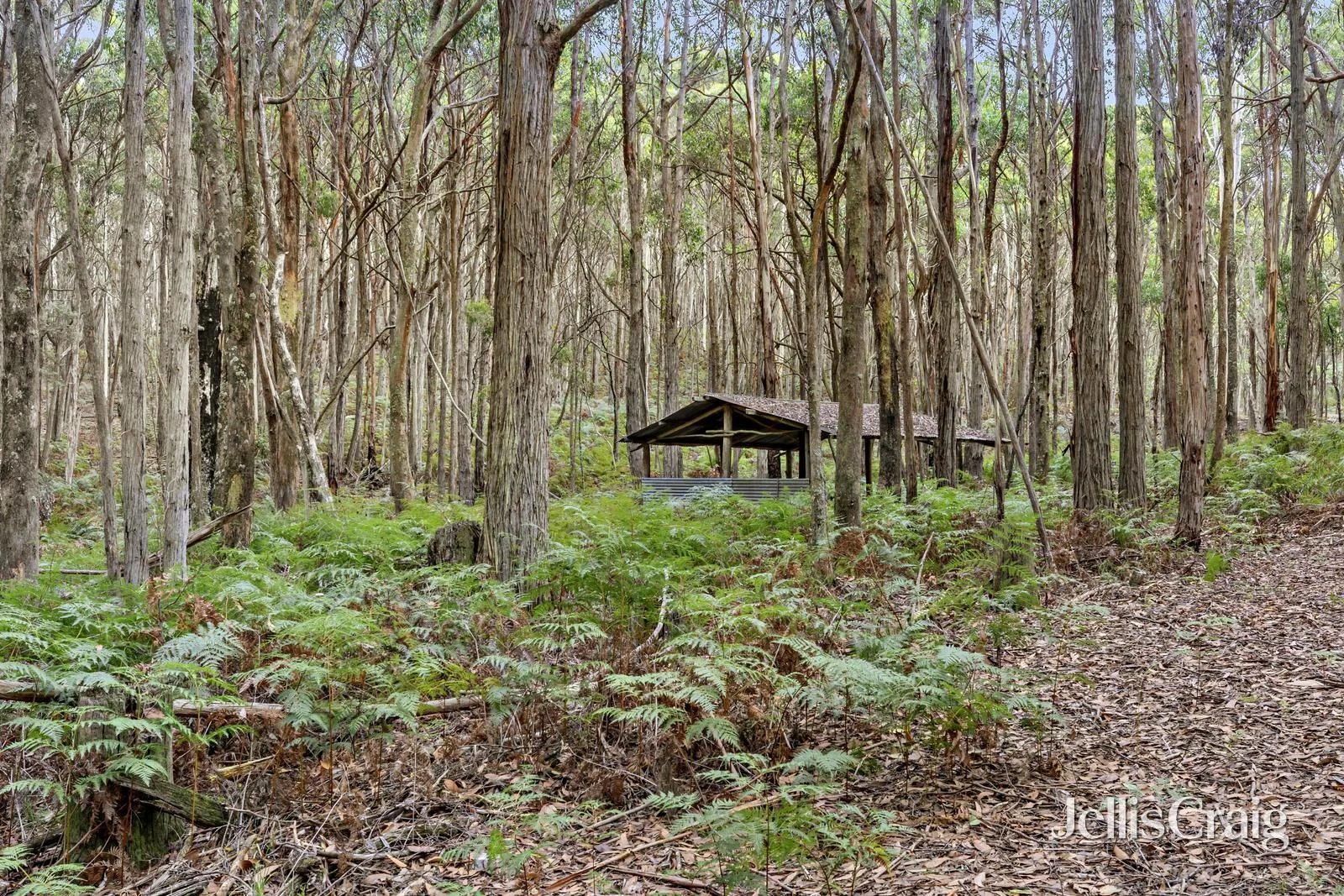 Additional image 7 of 85 Lightwood Drive, Wheatsheaf VIC 3461