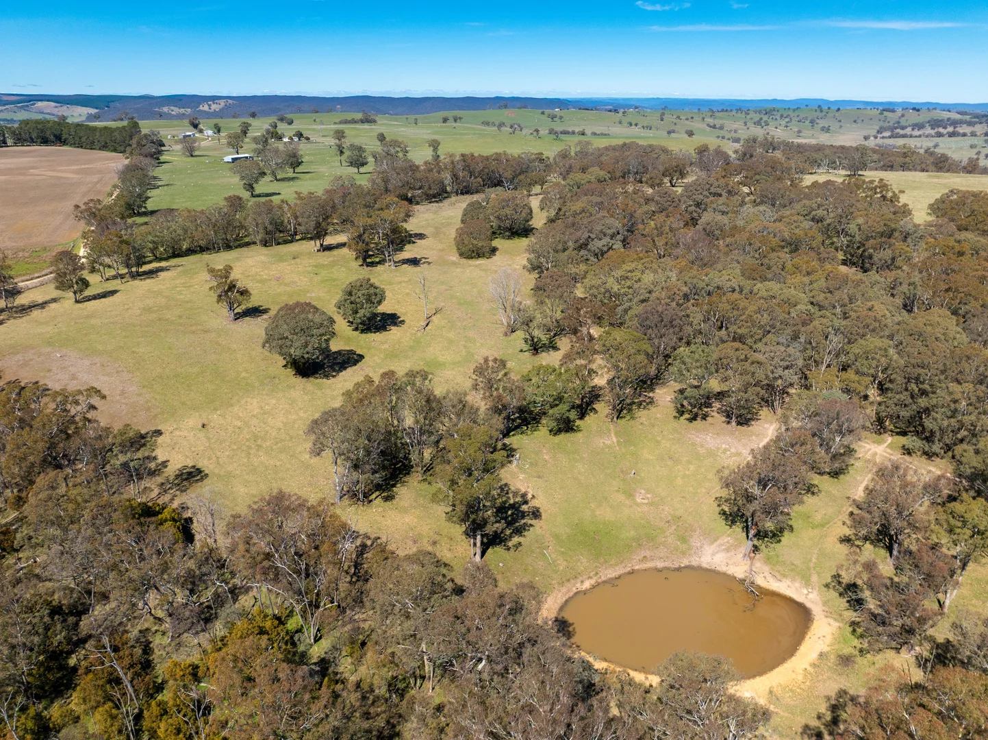 Additional image 18 of 5353 Trunkey Road, Trunkey Creek NSW 2795