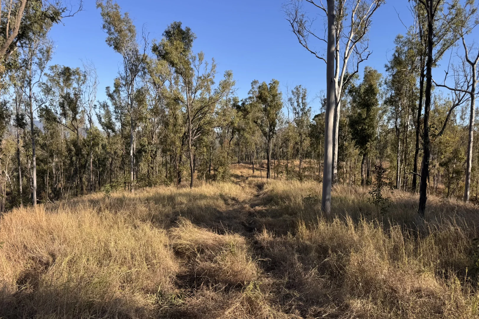 Additional image 15 of "Jalna" 266 Childs Road, Boyne Valley QLD 4680