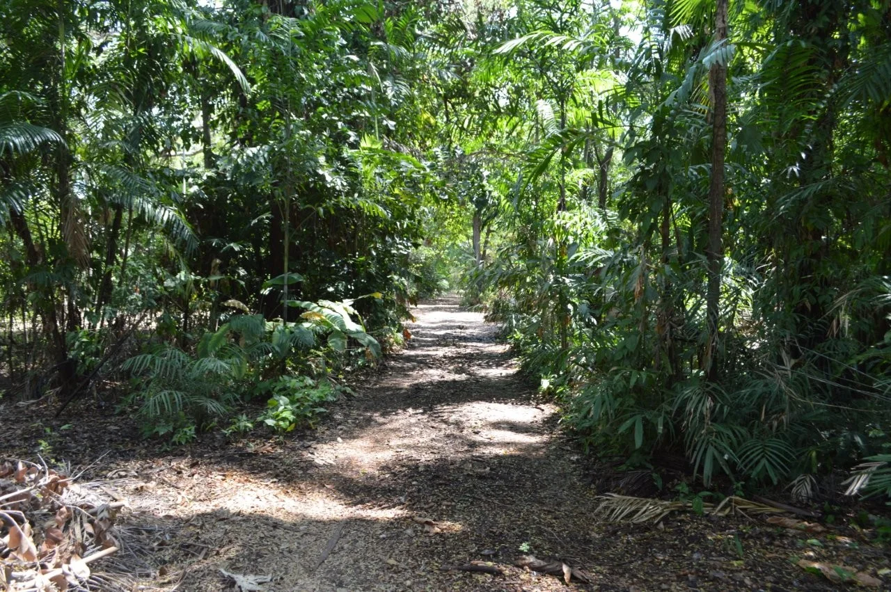 Additional image 6 of Lambells Lagoon NT 0822