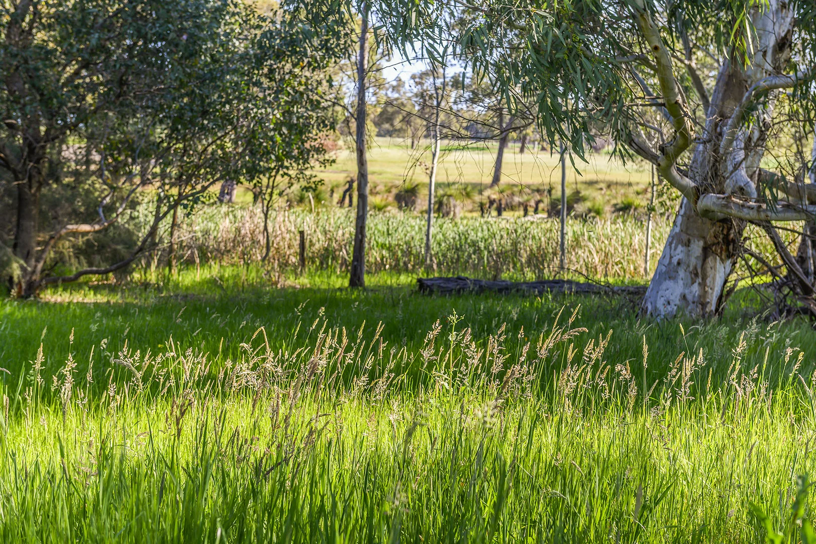 Additional image 28 of Guernsey Rise, Lower Chittering WA 6084