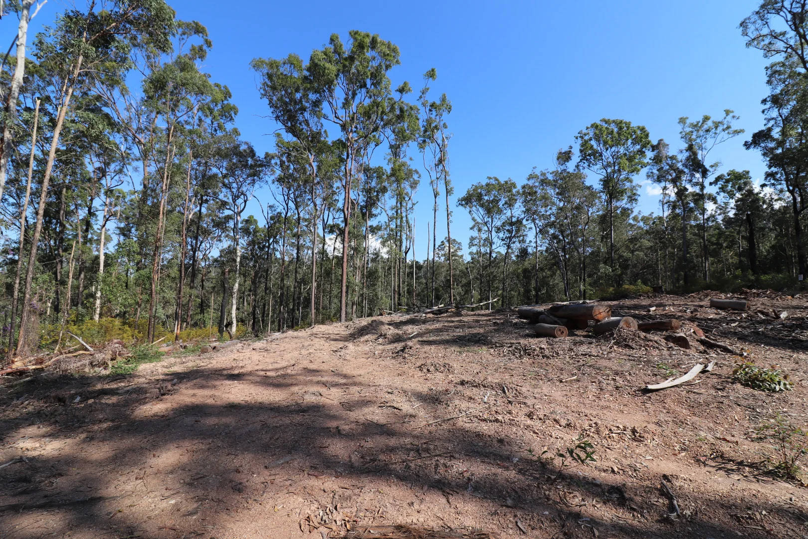 Additional image 5 of Lot 41 Collombatti Road, Collombatti NSW 2440