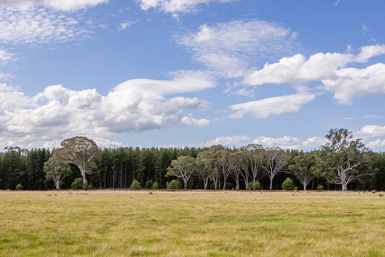 Additional image 49 of 219 Ockley Rd, Comaum SA 5277