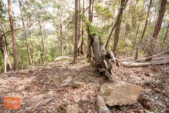 Additional image 16 of 62 Una Road, Bucketty NSW 2250