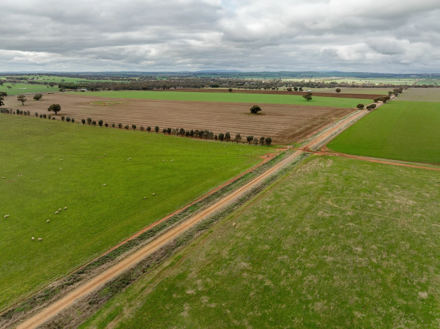 Additional image 6 of 79 Goldfields Way Old Junee Via, Wagga Wagga NSW 2650