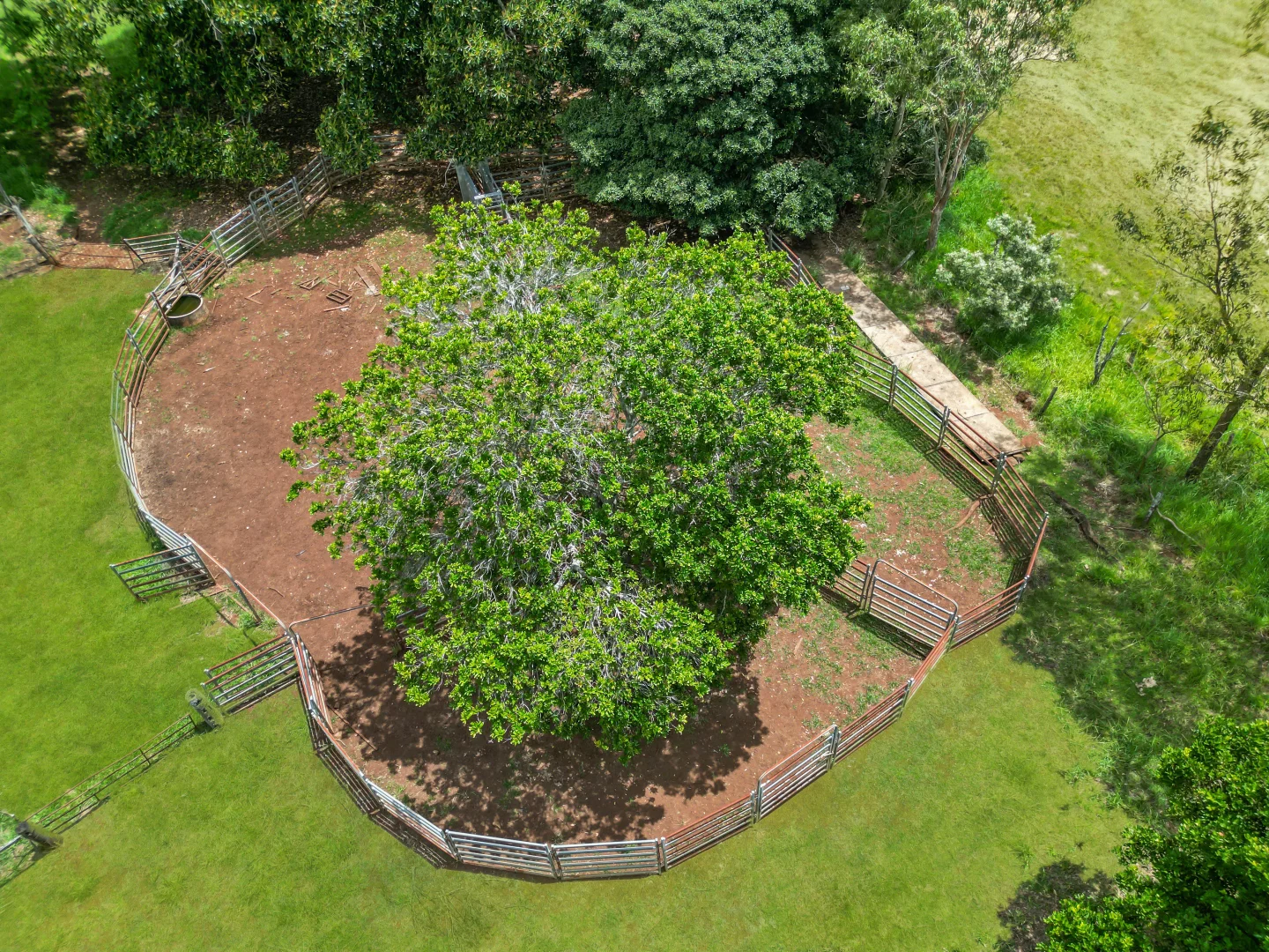 Additional image 10 of 89 O'Connors Road, Fairy Hill NSW 2470