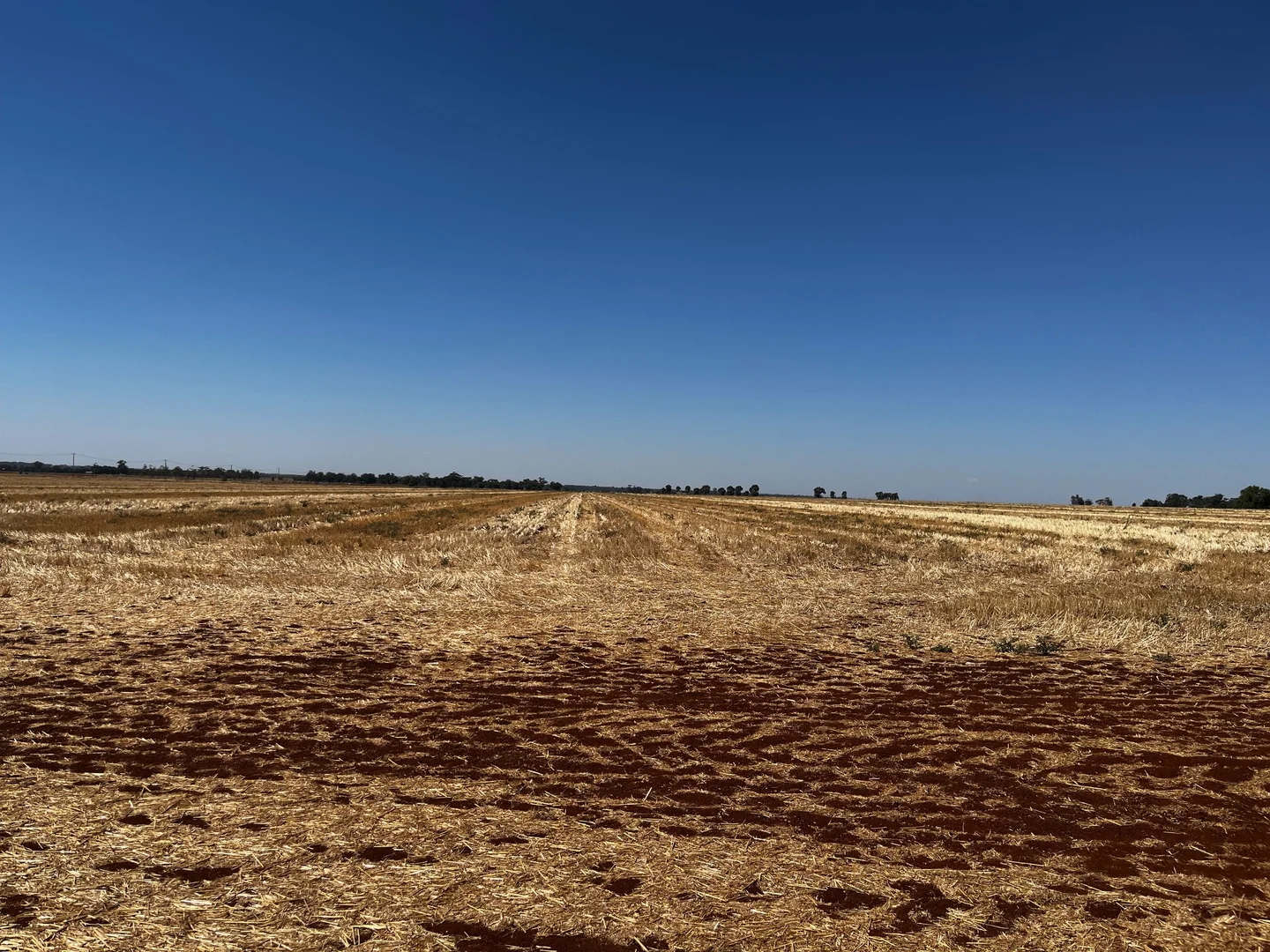 Additional image 4 of Lot 2 PS445124Y Wilson Road, Nanneella VIC 3561