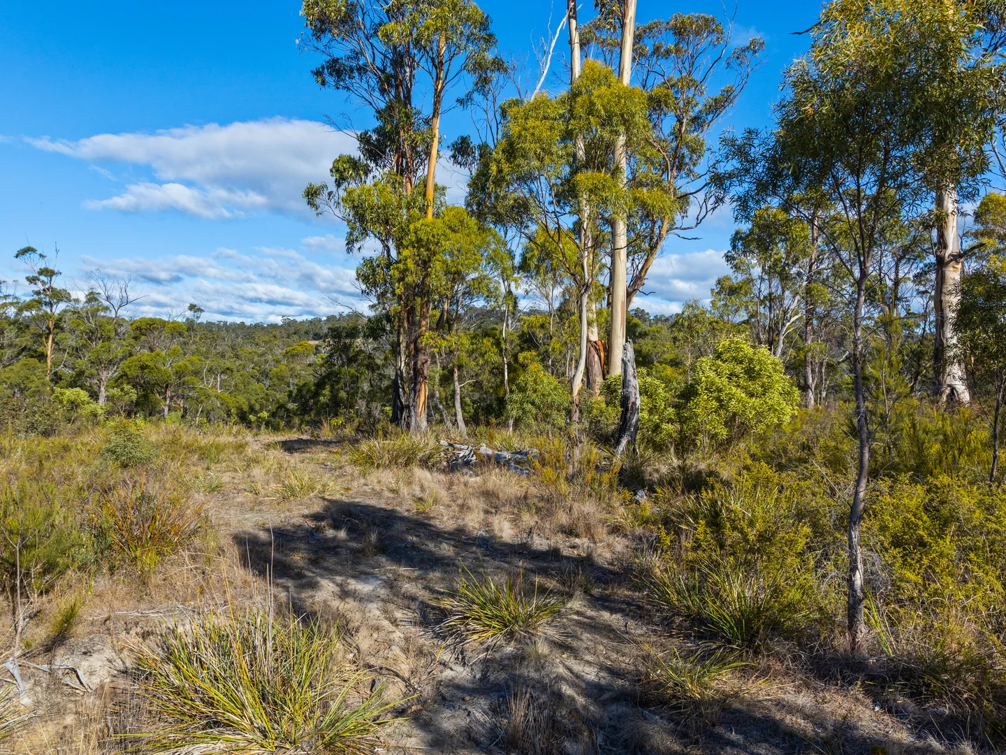Additional image 24 of 4017 Arthur Highway, Murdunna TAS 7178