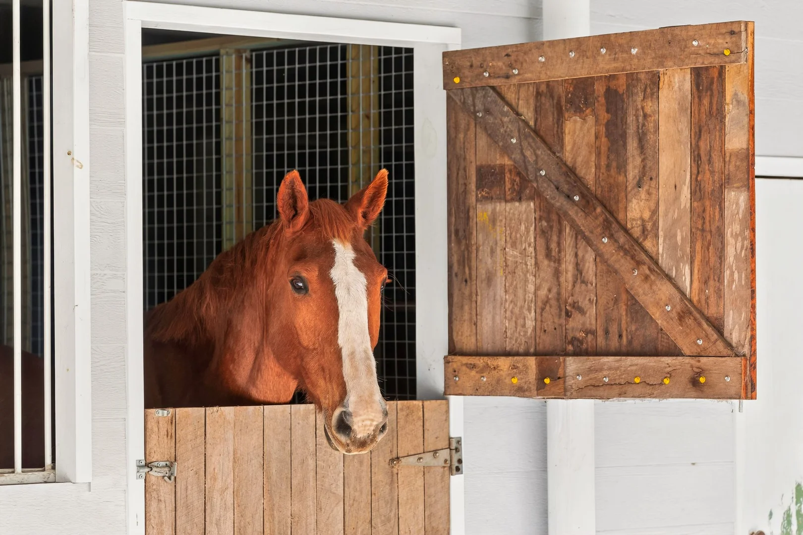 Additional image 30 of 155 Clarendon Road, Peregian Beach QLD 4573