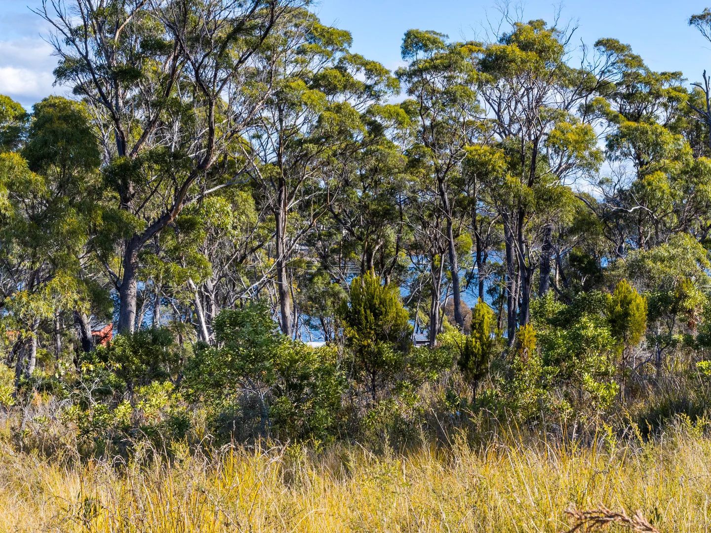 Additional image 26 of 4017 Arthur Highway, Murdunna TAS 7178