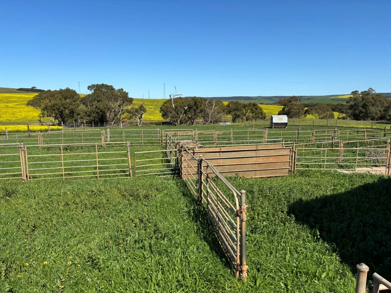 Additional image 15 of Lot 5 McAvaney Lane, Whites Flat SA 5607