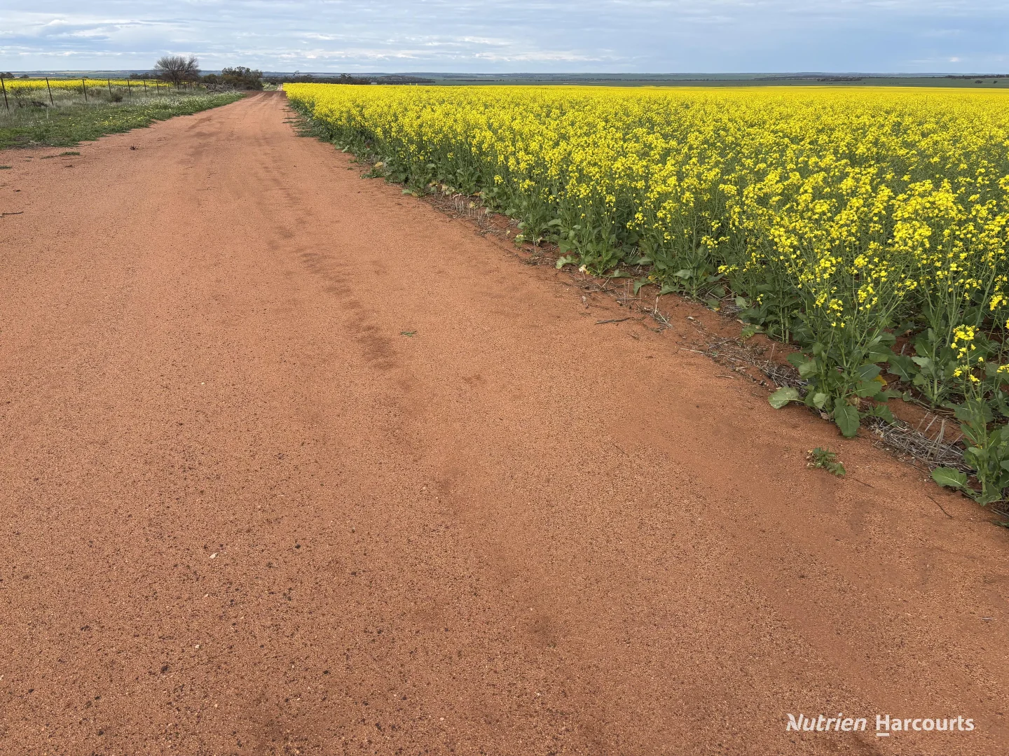 Additional image 3 of . 'Yetelling', Bencubbin WA 6477