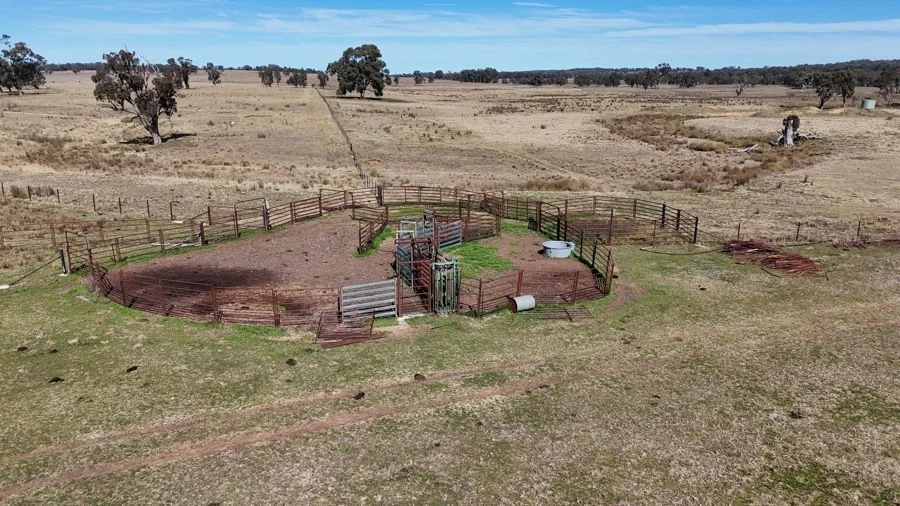 Additional image 12 of 176 Uphills lane Purlewaugh, Coonabarabran NSW 2357