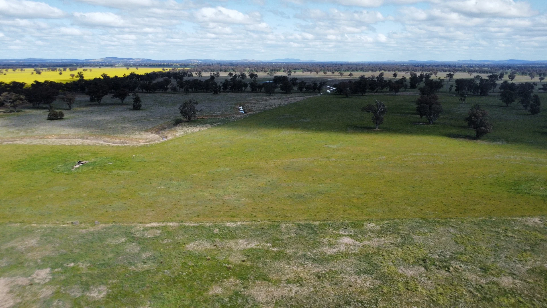 Additional image 41 of 1843 Yeo Yeo Hampstead Road, Young NSW 2594