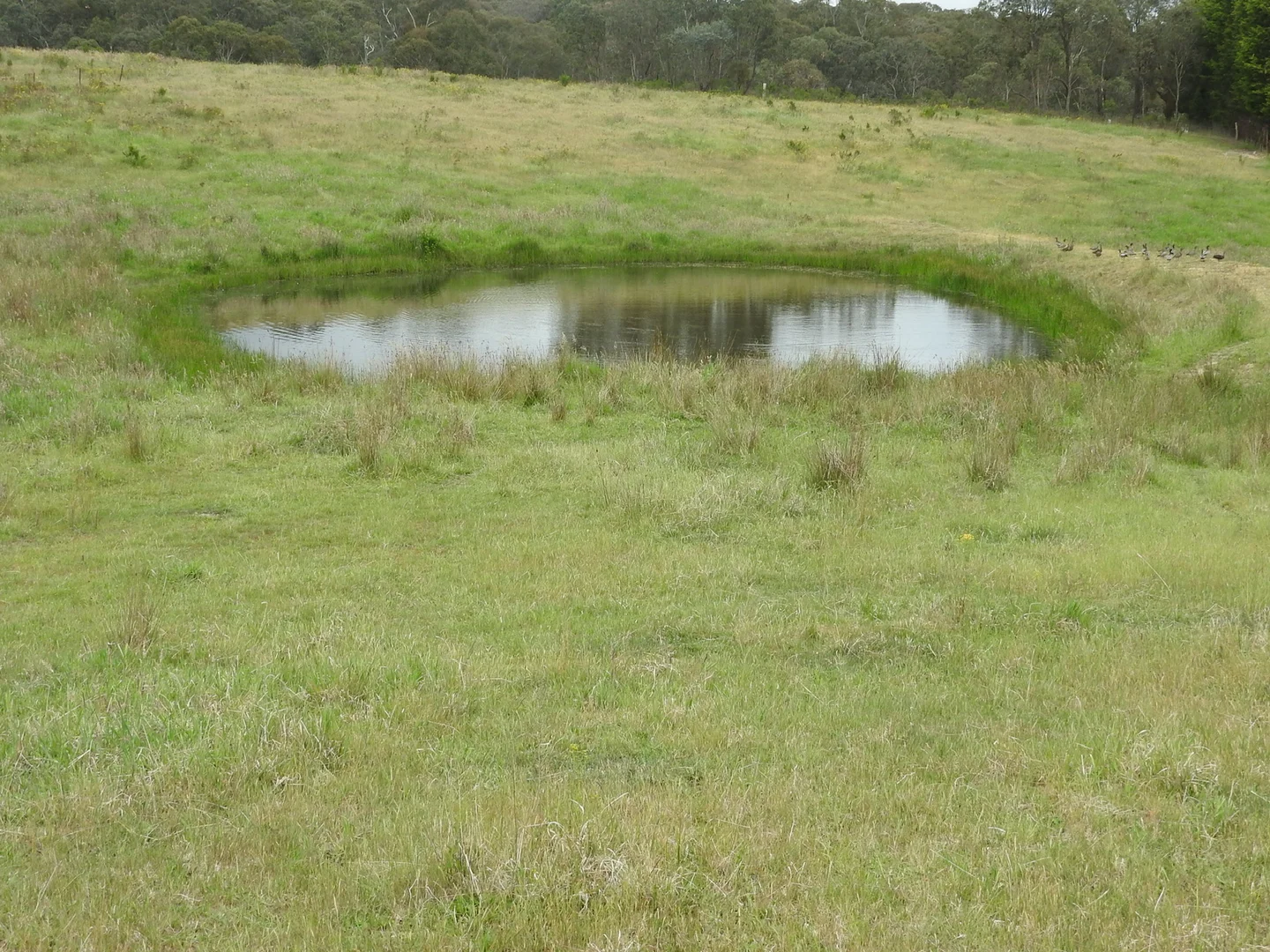 Additional image 4 of 158 Sunny Corner Road, Portland NSW 2847