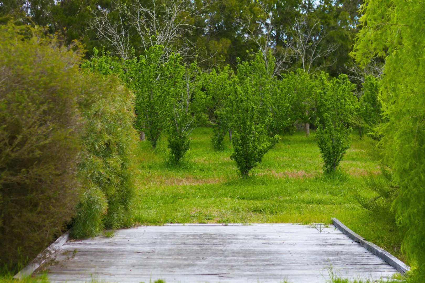 Additional image 26 of Lot PL 2/1120 Wildwood Road, Yallingup Siding WA 6282