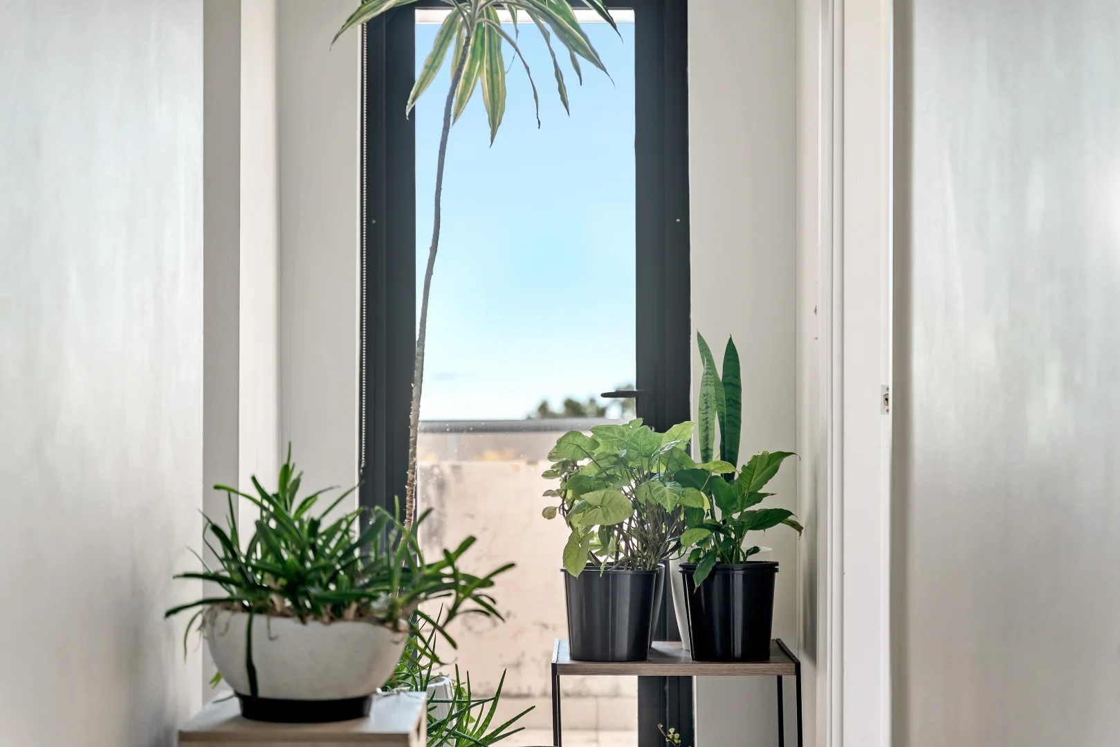 Additional image 8 of 29/74-80 Woniora Road, Hurstville NSW 2220