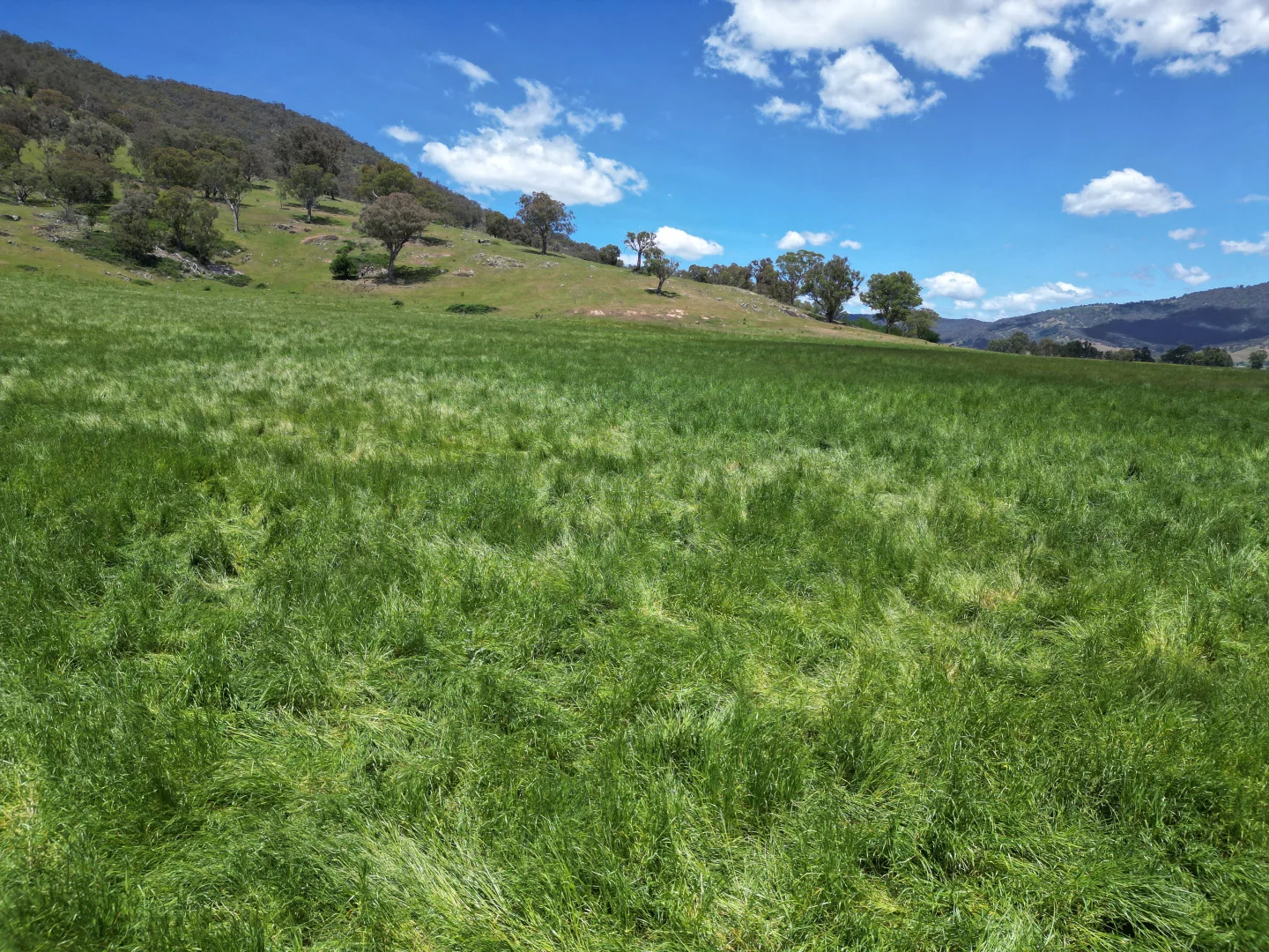 Additional image 17 of 1, Sec 19, "The Bloc Murray Valley Highway, Bullioh VIC 3700