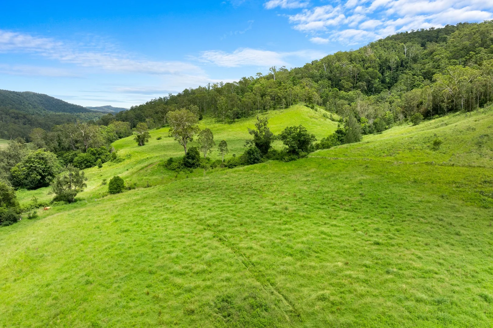 Additional image 23 of 154 Sawpit Creek Road, Findon Creek NSW 2474