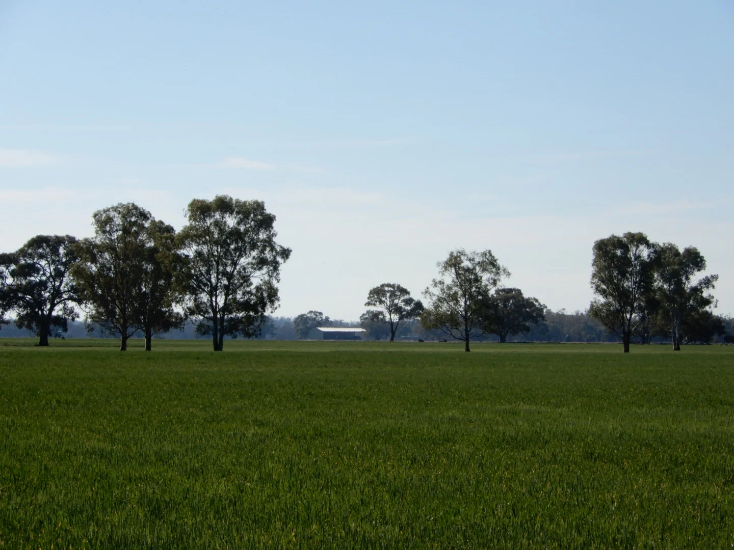 Additional image 54 of 'Wetuppa' 245 Fisher Lane, Wetuppa NSW 2734