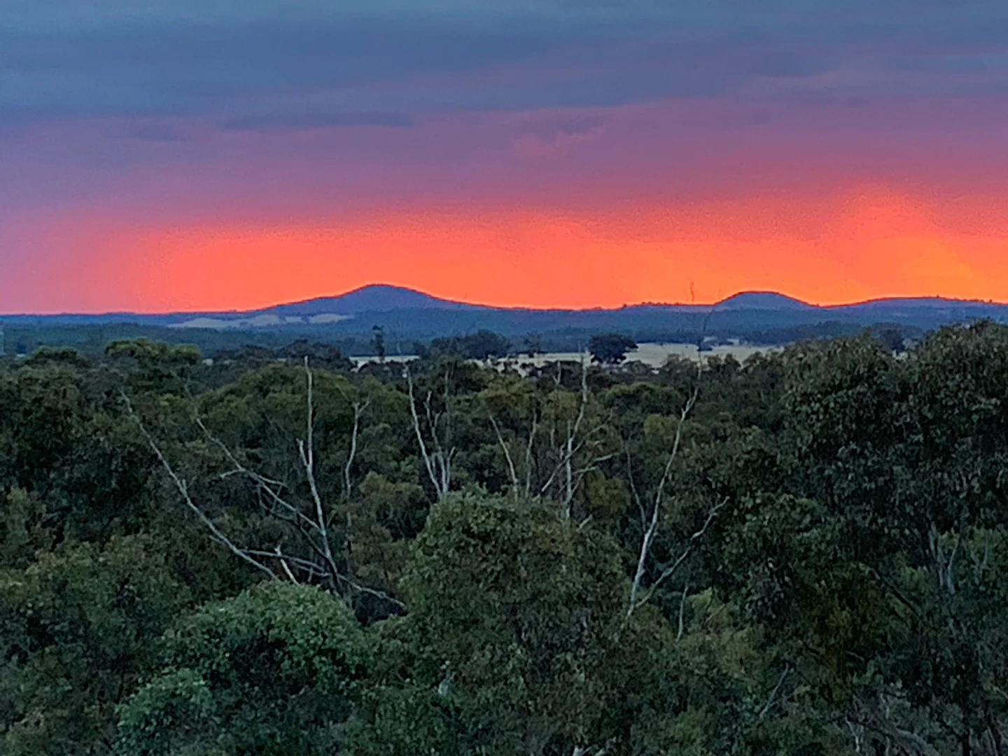 282 Blanket Gully Road, Campbells Creek VIC 3451