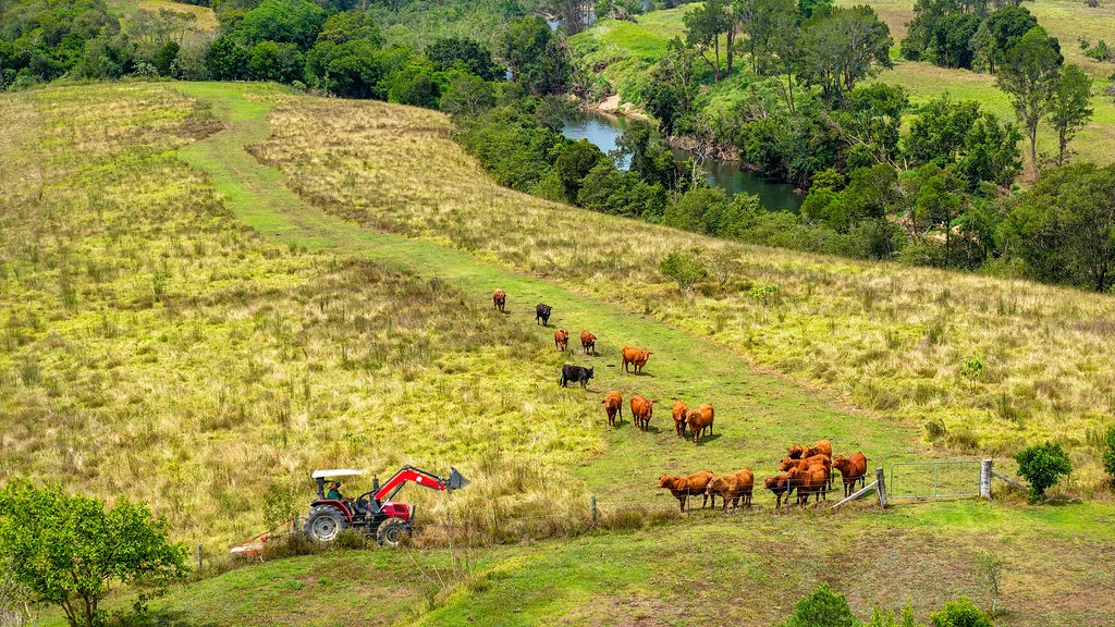 Additional image 7 of 221 Karaak Flat Road, Karaak Flat NSW 2429