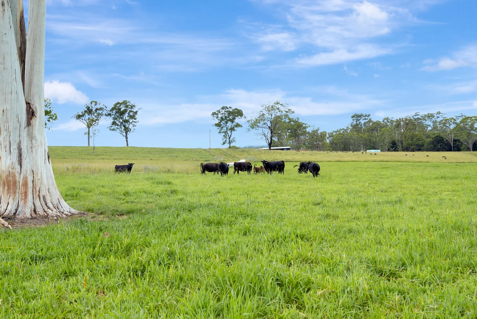 Additional image 5 of 696 Kungala Road, Kungala NSW 2460