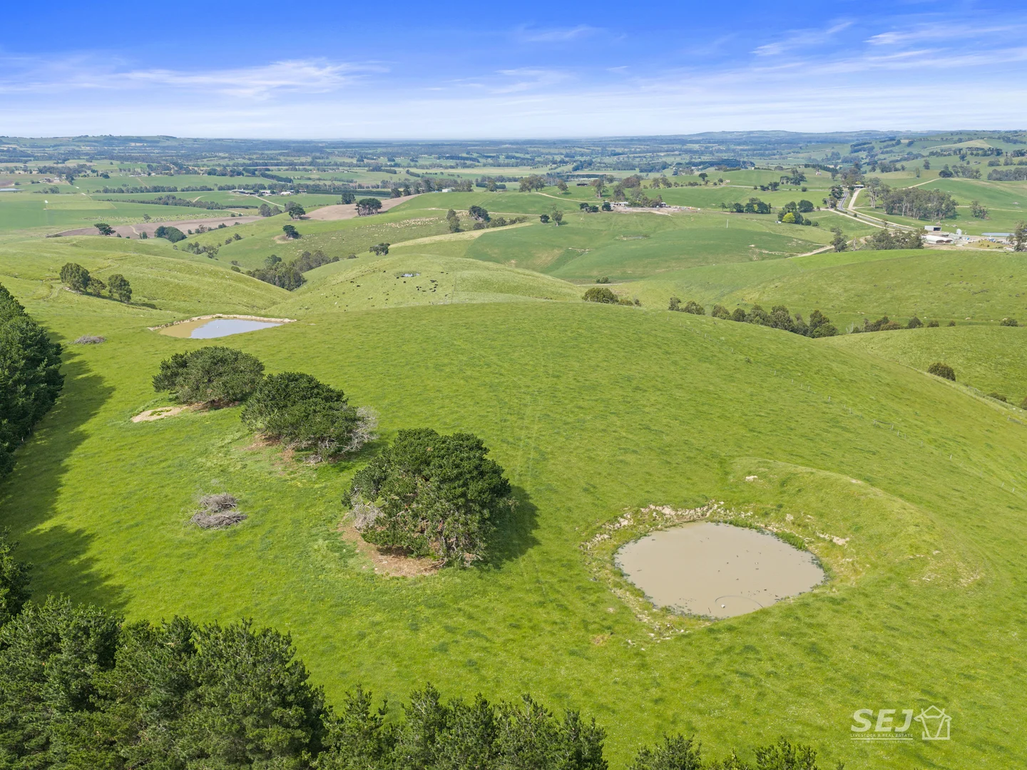 Additional image 9 of 1510 Meeniyan-Mirboo North Road, Dumbalk VIC 3956