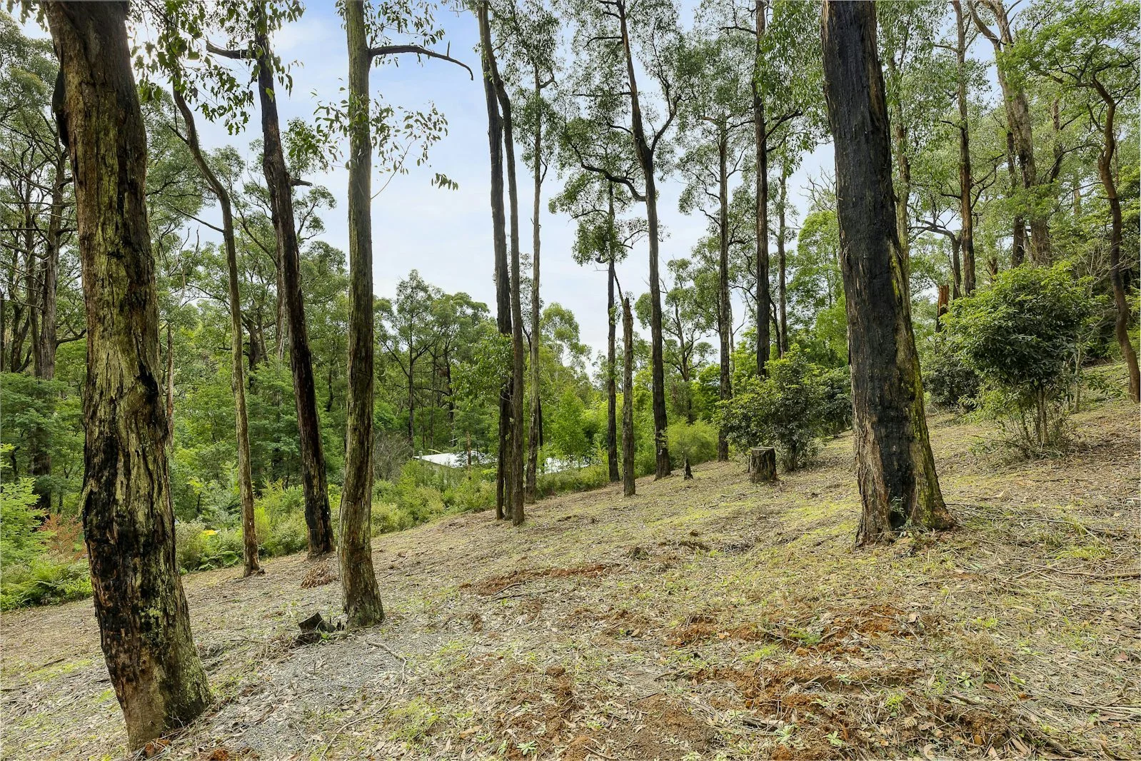 Additional image 9 of 52A View Hill Road, Cockatoo VIC 3781