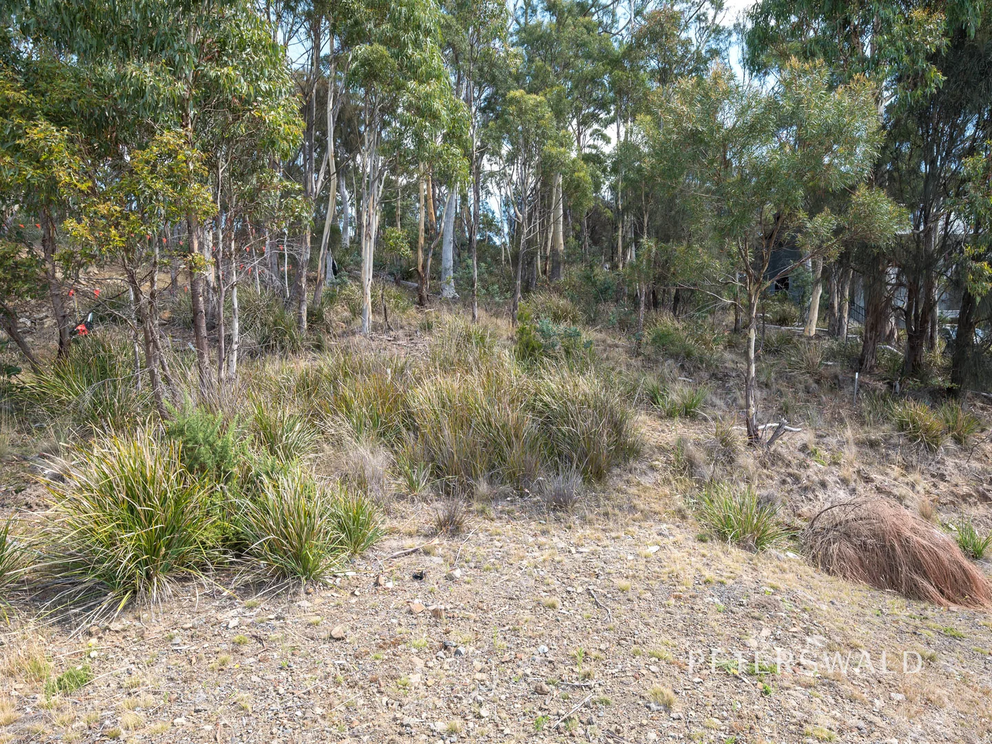 Additional image 5 of 44 Hillcrest Road, Tolmans Hill TAS 7007