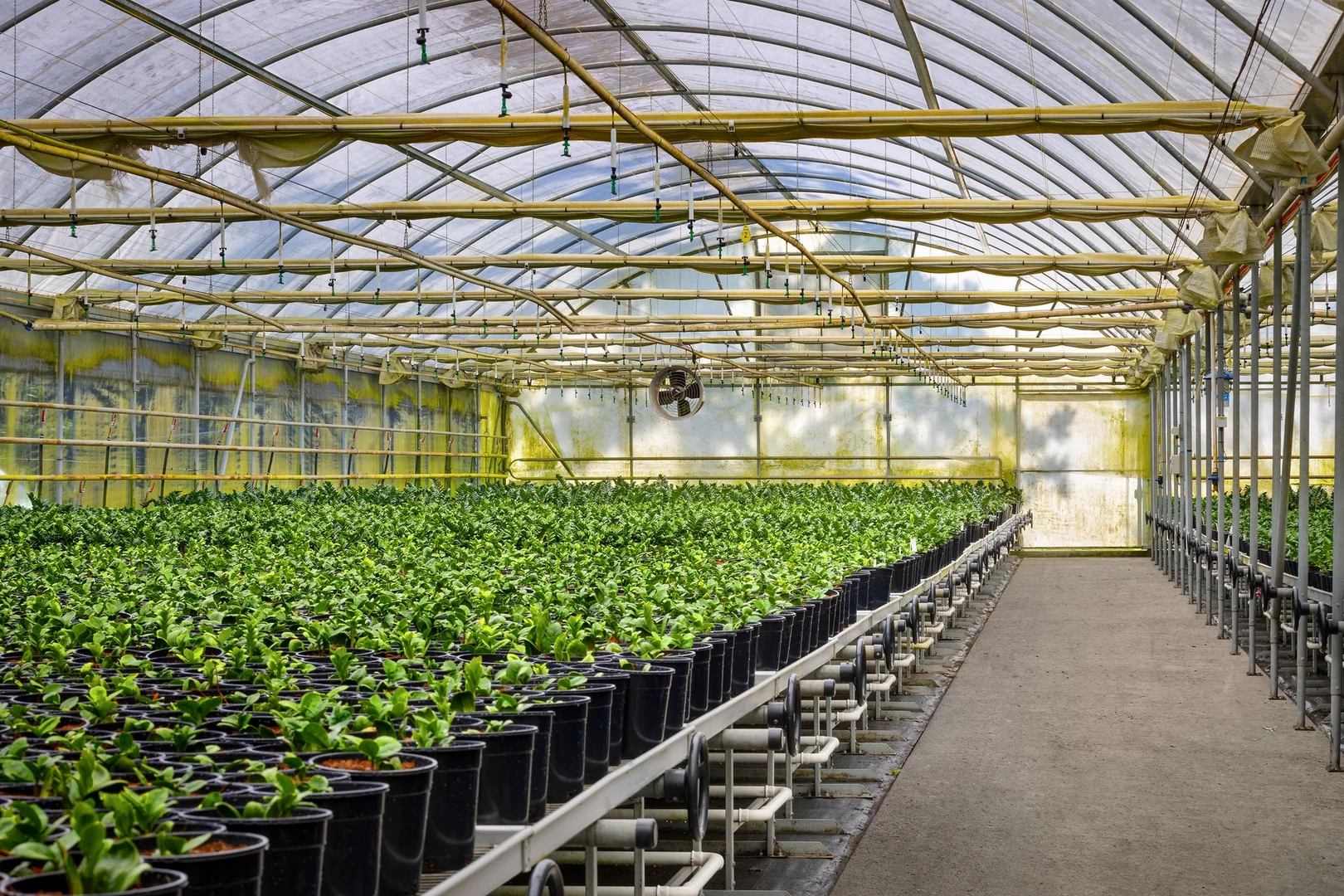 Additional image 23 of 659 Federal Drive, Federal NSW 2480