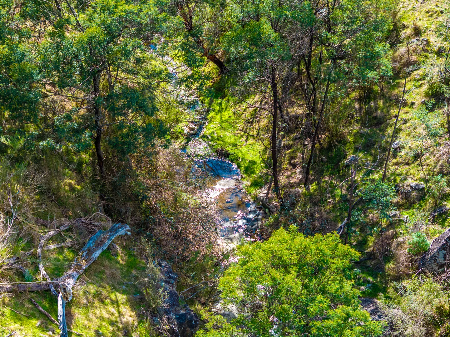 Additional image 5 of 1139 Ensay-Doctors Flat Road, Ensay VIC 3895