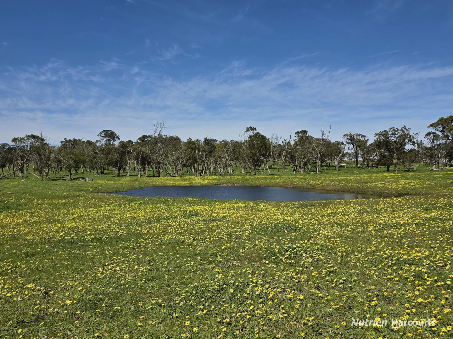 Additional image 5 of 1867 Chester Pass Road, Napier WA 6330