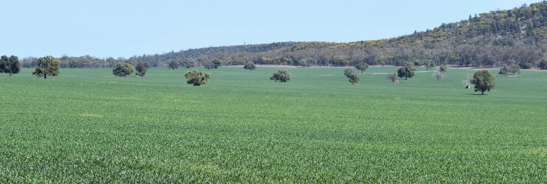 Additional image 9 of 120 Ganantagi Road, Yarrabandai NSW 2875