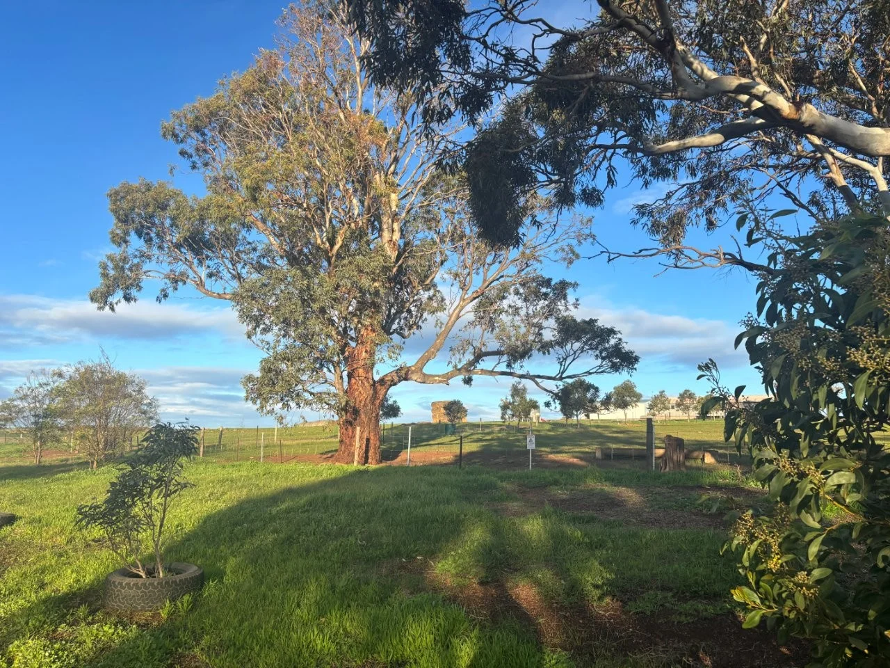 Additional image 3 of Lot 5 McAvaney Lane, Whites Flat SA 5607