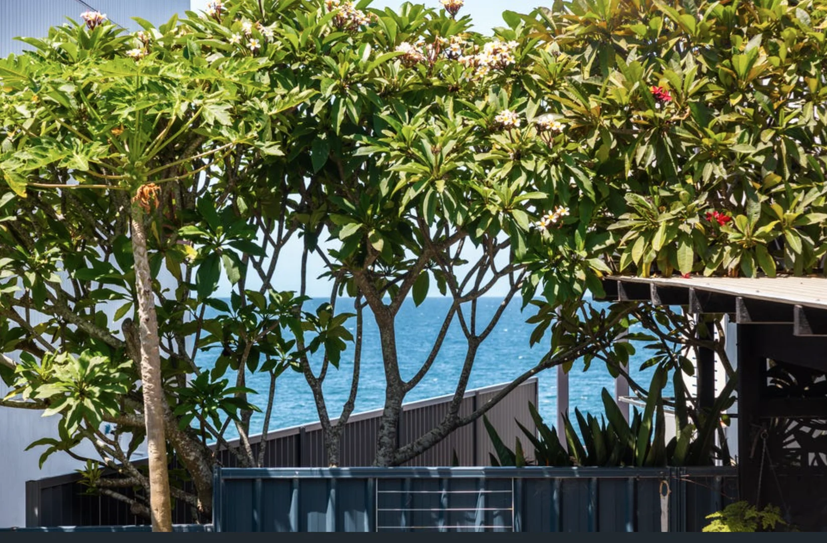 Additional image 15 of 50 Waratah Street, Scotts Head NSW 2447