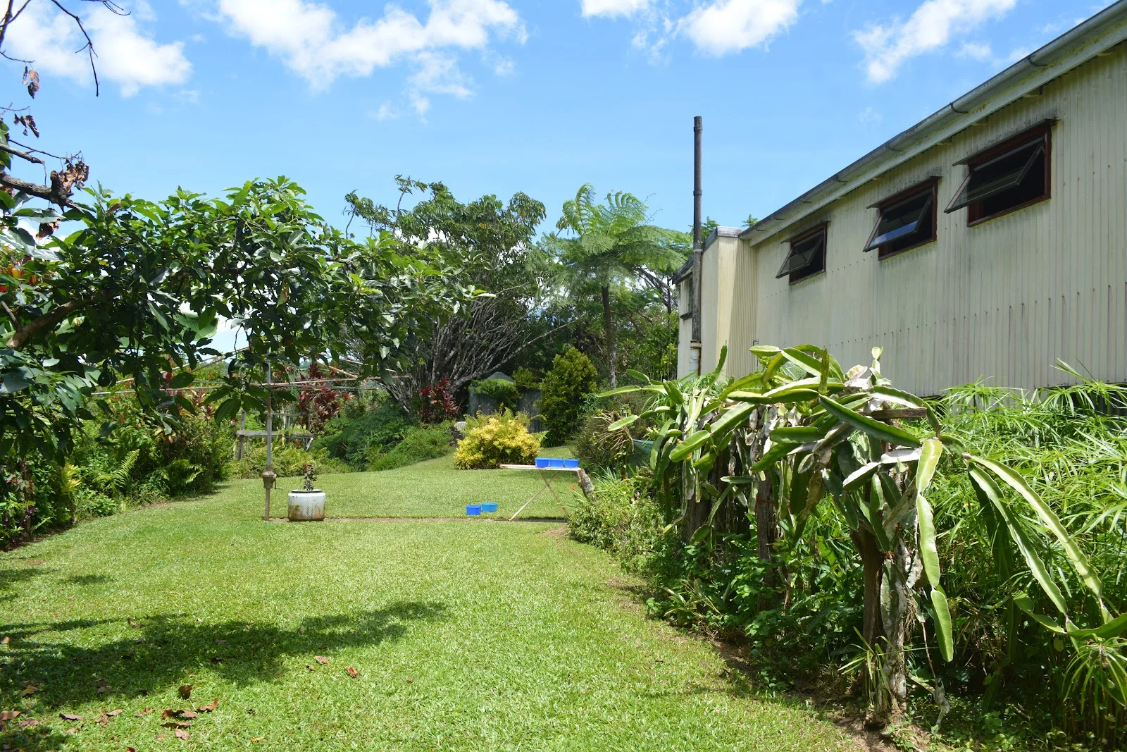 Additional image 50 of 780 MIDDLEBROOK ROAD, Millaa Millaa QLD 4886