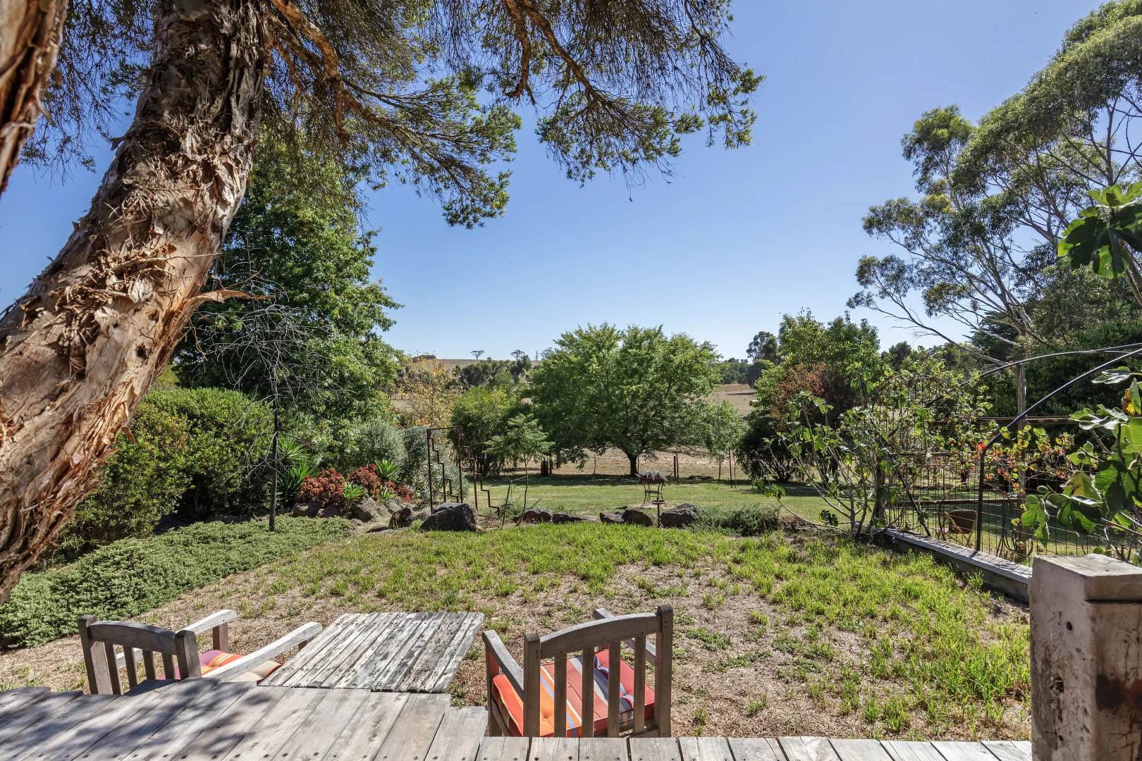 Additional image 15 of 1409 Birregurra Deans Marsh Road, Deans Marsh VIC 3235