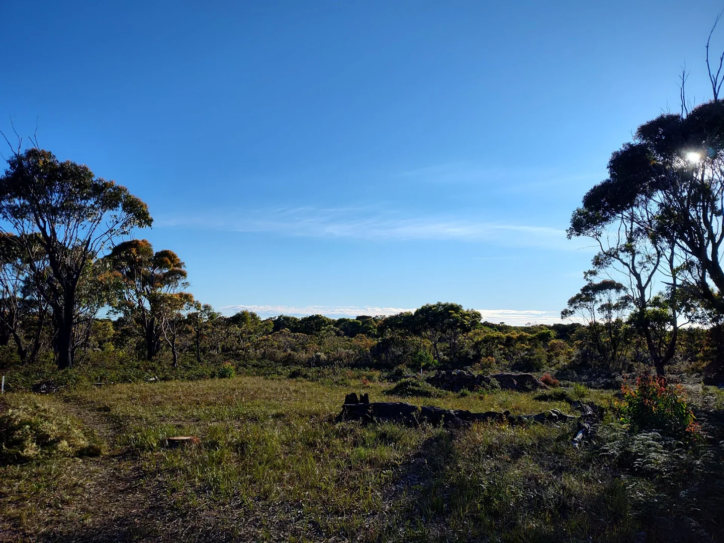 Additional image 7 of 43 Winifred Drive, Scamander TAS 7215