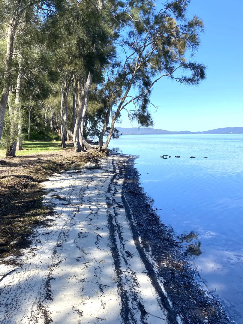 Additional image 25 of 147 Green Point Drive, Green Point NSW 2428