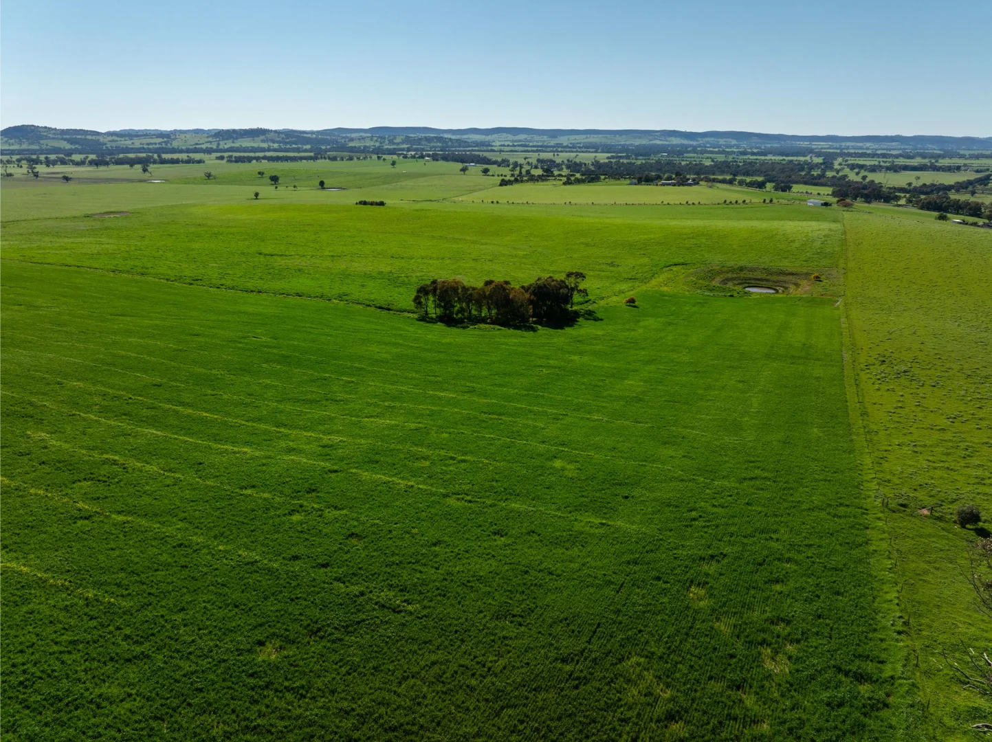 Additional image 8 of 272 Bulloc Hill Road, Mangoplah NSW 2652