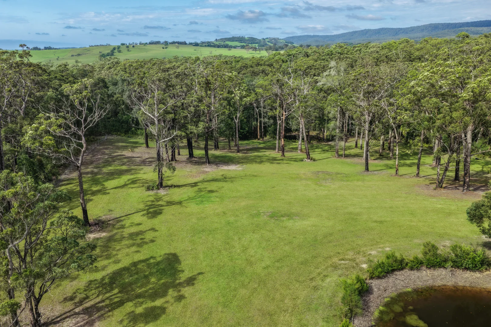 Additional image 11 of Lot 3, 315C Little Forest Road, Little Forest NSW 2538