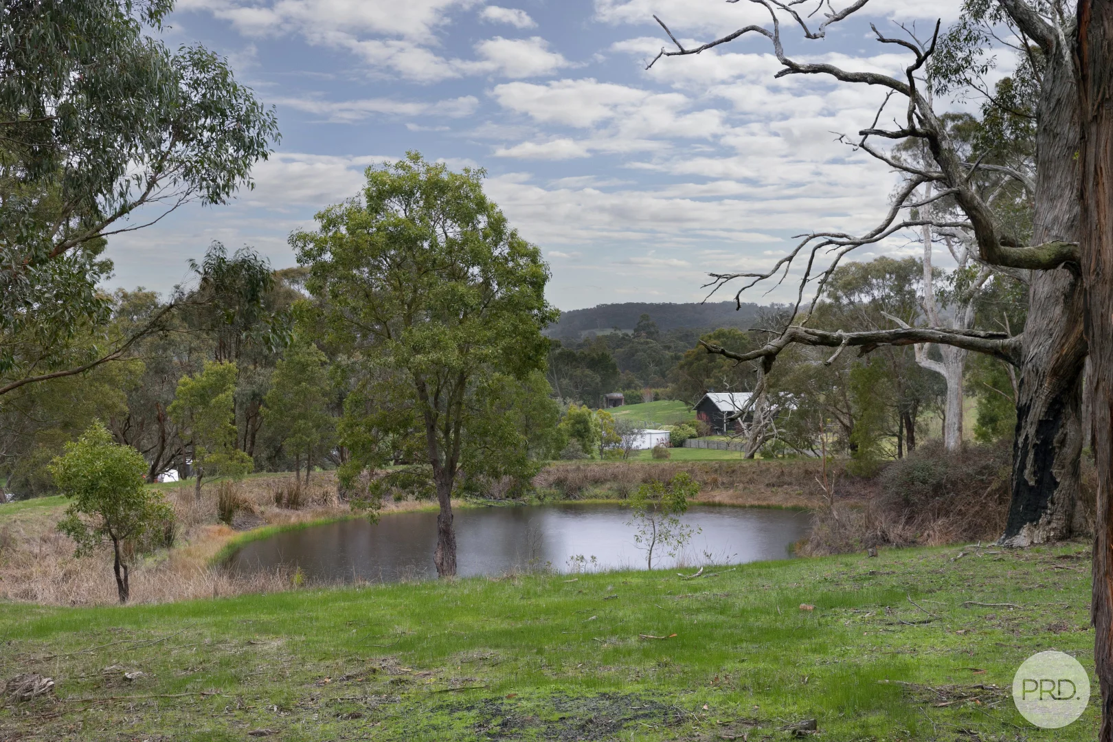 Additional image 5 of Lot 6 Eucalyptus Drive, Invermay VIC 3352