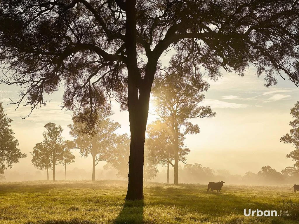 Additional image 3 of Lot 605 Sanctuary Drive, Tahmoor NSW 2573