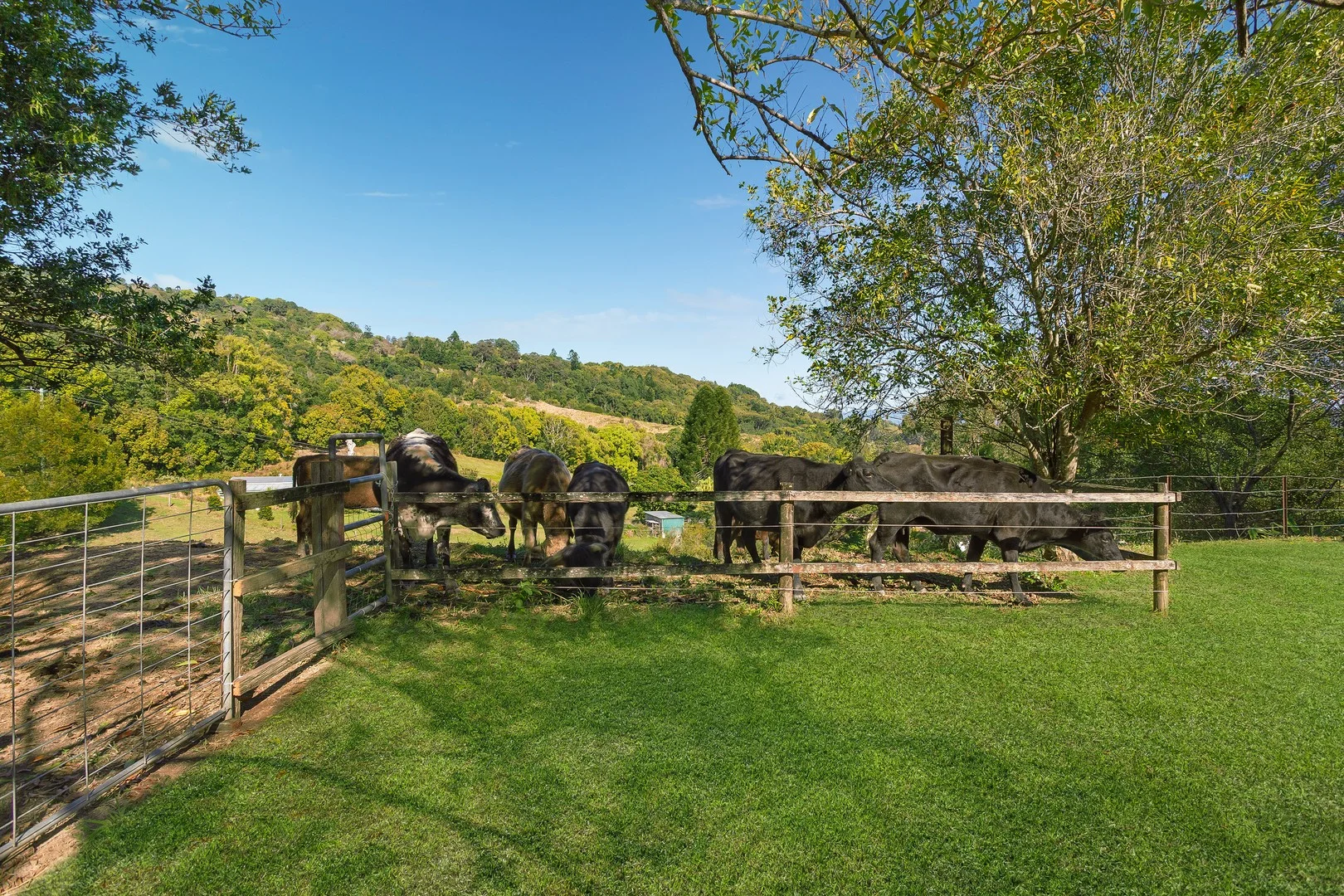456 Eviron Road, Eviron NSW 2484