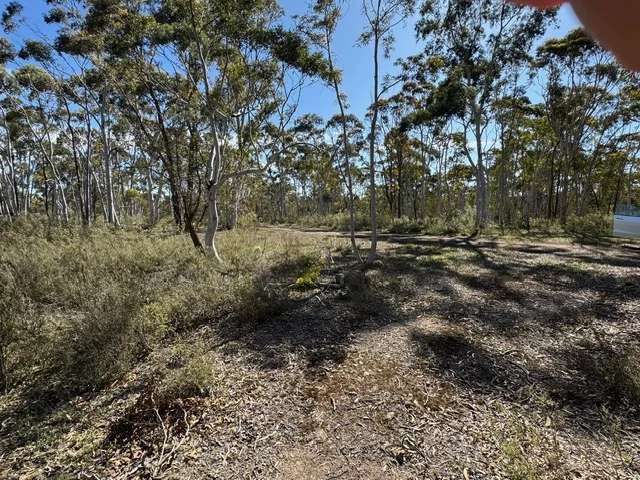 Additional image 5 of 671 Towrang Road, Towrang NSW 2580