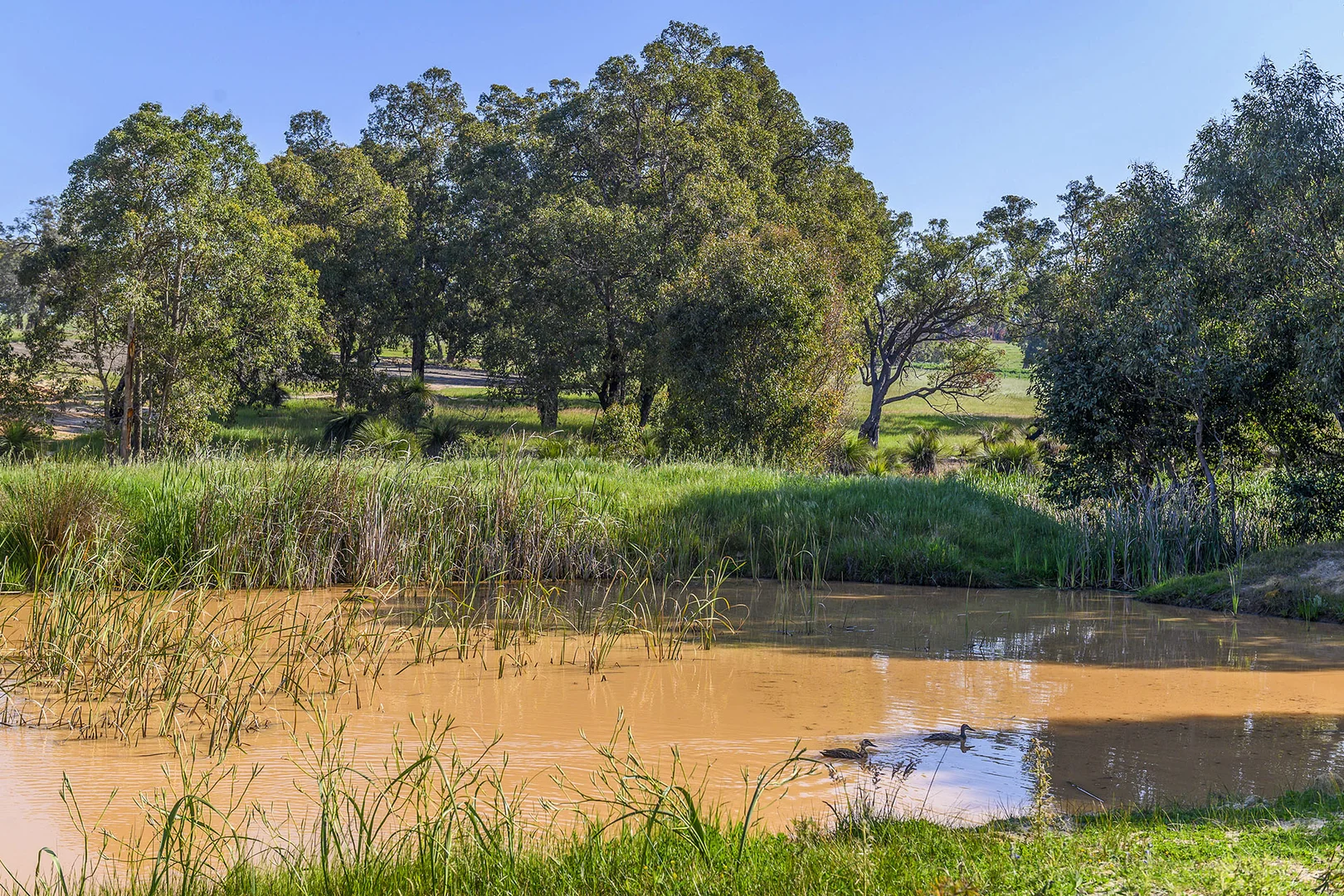 Additional image 20 of Guernsey Rise, Lower Chittering WA 6084