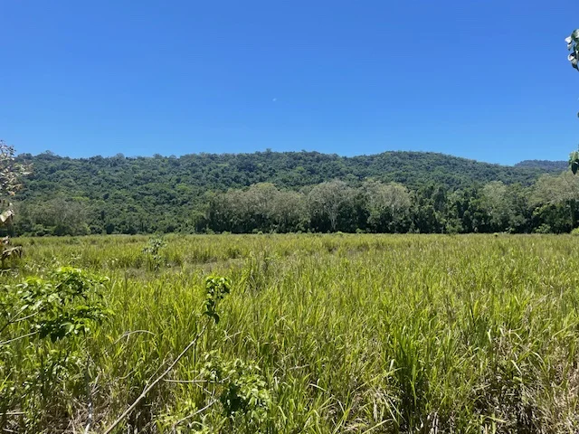 Additional image 8 of 12 Pine Creek - Yarrabah Road, East Trinity QLD 4871