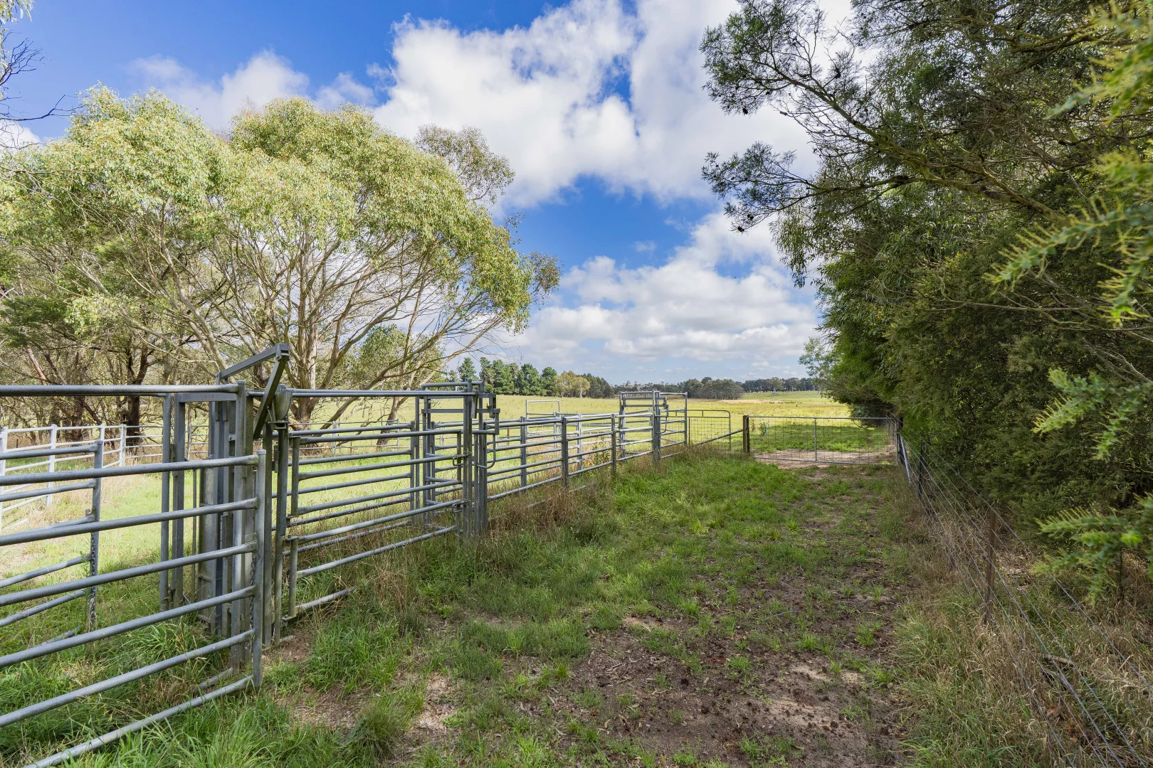 Additional image 11 of 251 Mount Rae Road, Roslyn NSW 2580