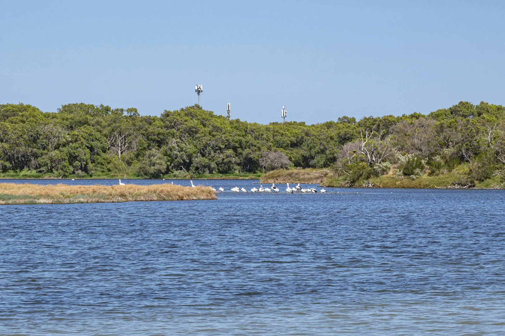 Additional image 21 of Lot 39 Webster Road, Wonnerup WA 6280